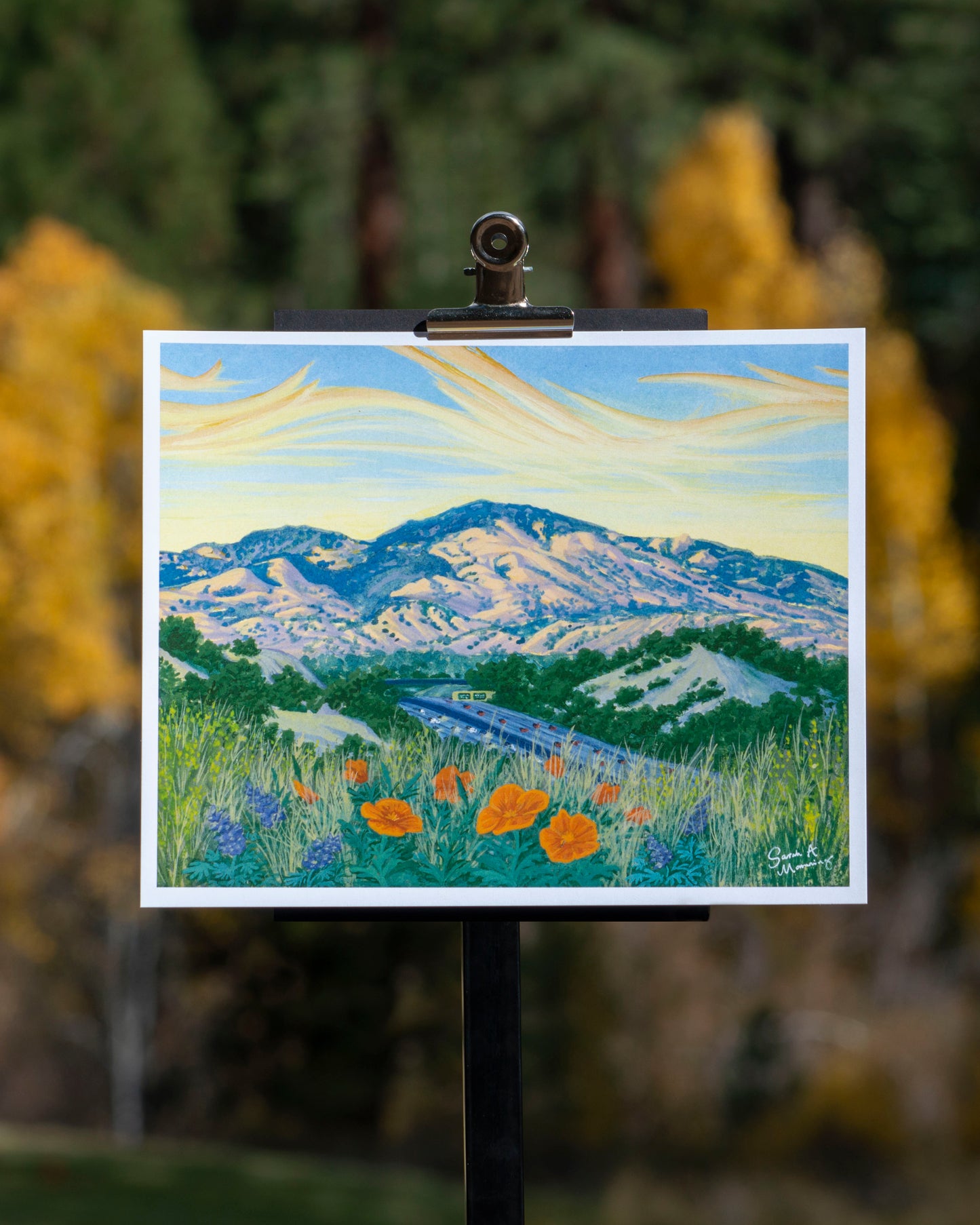 Mt. Diablo Fine Art Print