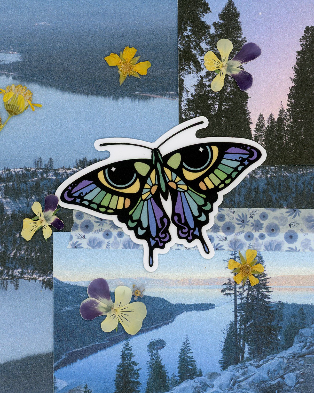 Vinyl Sticker - Butterfleye