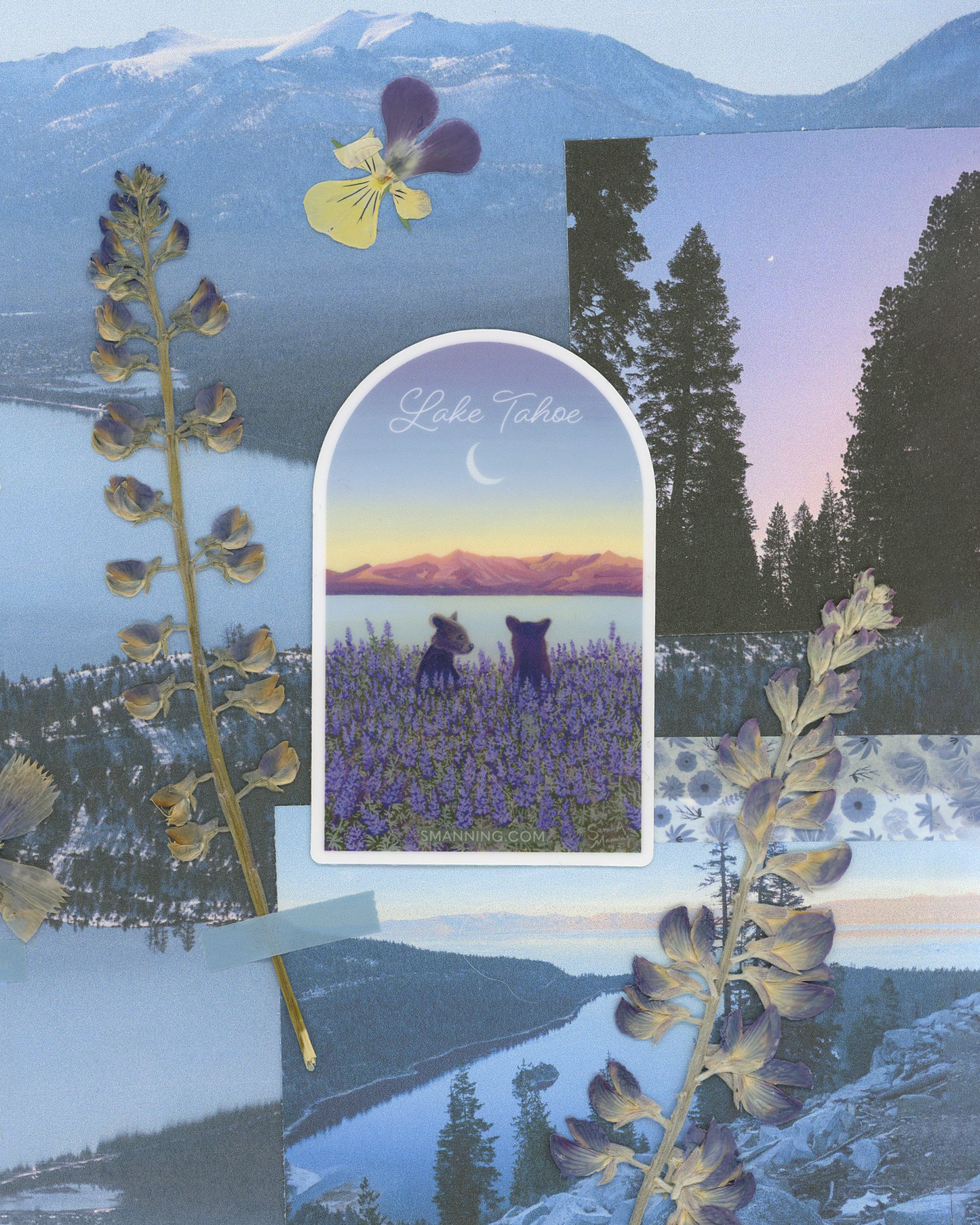 Vinyl Sticker - Bears and Blooms